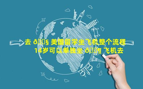 去 🐧 美国留学坐飞机整个流程 14岁可以单独坐 🐶 飞机去美国留学吗
